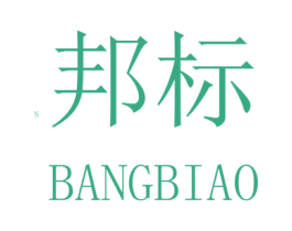 邦标 N 商标图样