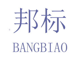 邦标 N 商标图样