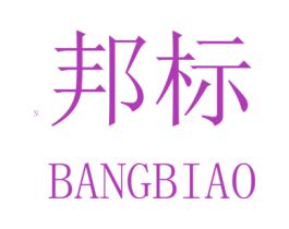 邦标 N 商标图样