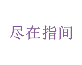 尽在指间 商标图样