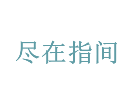 尽在指间 商标图样