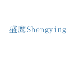 盛鹰 商标图样