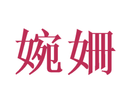 婉姗 商标图样