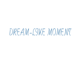DREAM-LIKE MOMENT 商标图样