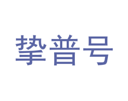 挚普号 商标图样