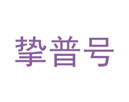 挚普号 商标图样