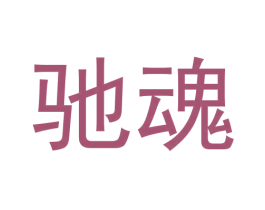 驰魂 商标图样