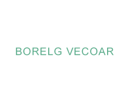 BORELG VECOAR 商标图样
