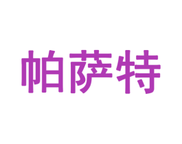 帕萨特 商标图样