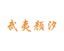 武夷颜汐 商标图样