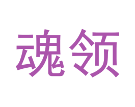 魂领 商标图样