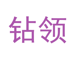 钻领 商标图样