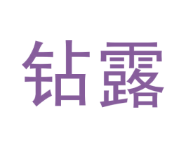 钻露 商标图样