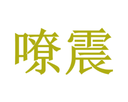嘹震 商标图样