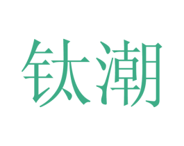 钛潮 商标图样