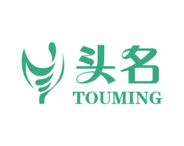 头名 商标图样