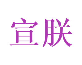 宣朕 商标图样