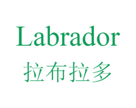 拉布拉多 LABRADOR 商标图样