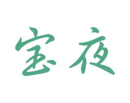 宝夜 商标图样