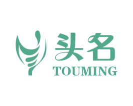 头名 商标图样