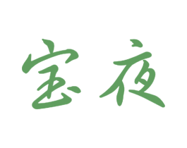 宝夜 商标图样
