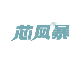 芯风暴 商标图样