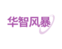 华智风暴 商标图样