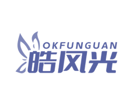 皓风光 OKFUNGUAN 商标图样