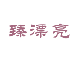 臻漂亮 商标图样