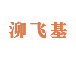 泖飞基 商标图样