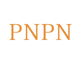 PNPN 商标图样