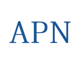 APN 商标图样