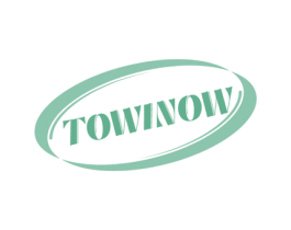 TOWINOW 商标图样