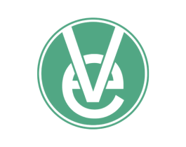 VE 商标图样