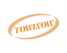 TOWINOW 商标图样