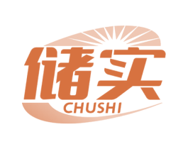 储实 商标图样