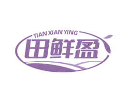 田鲜盈 商标图样