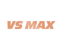 VS MAX 商标图样