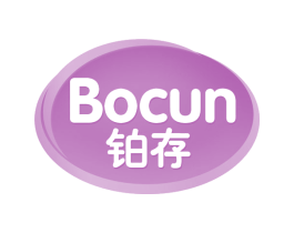 铂存 商标图样