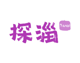 探淄 商标图样