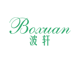 波轩 商标图样