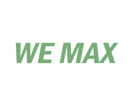 WE MAX 商标图样