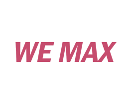 WE MAX 商标图样