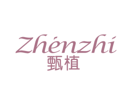 甄植 商标图样