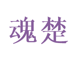 魂楚 商标图样
