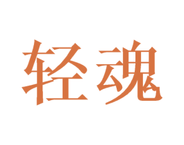 轻魂 商标图样