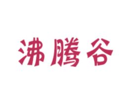 沸腾谷 商标图样