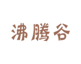 沸腾谷 商标图样