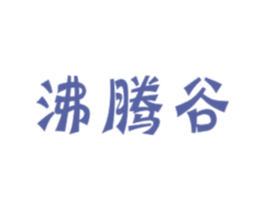 沸腾谷 商标图样
