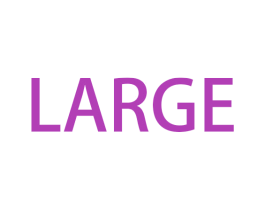 LARGE 商标图样